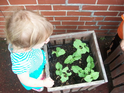 Gardening